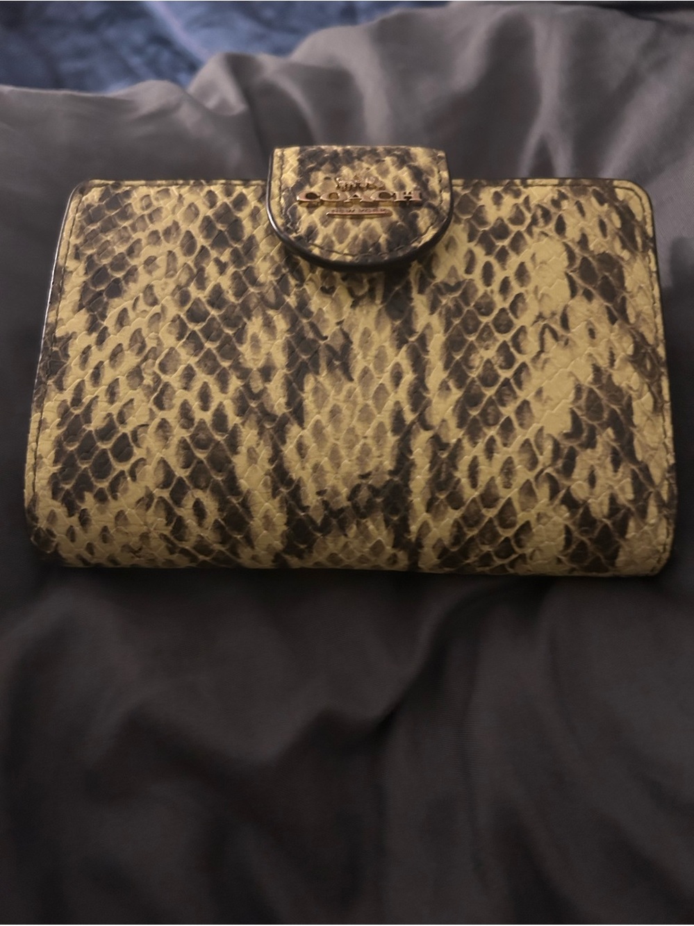 Snake-Print Leather Clutch Wallet in Yellow and Brown - Coach